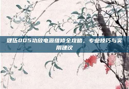 健伍005功放电源维修全攻略，专业技巧与实用建议