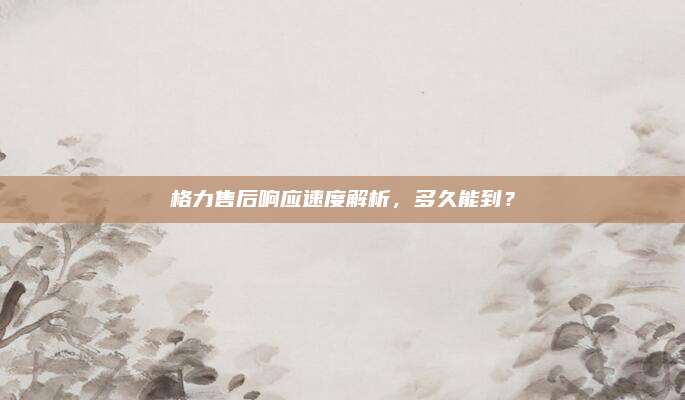 格力售后响应速度解析,多久能到?