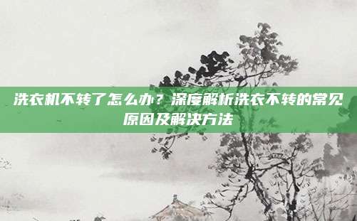 洗衣机不转了怎么办?深度解析洗衣不转的常见原因及解决方法