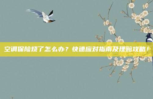 空调保险烧了怎么办?快速应对指南及理赔攻略!