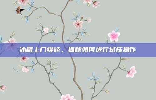 冰箱上门维修,揭秘如何进行试压操作
