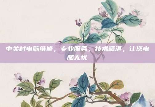 中关村电脑维修,专业服务,技术精湛,让您电脑无忧