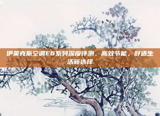 伊莱克斯空调E6系列深度评测,高效节能,舒适生活新选择