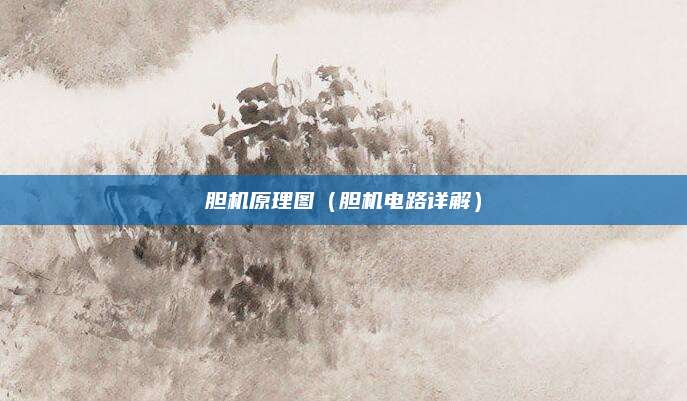 胆机原理图（胆机电路详解）