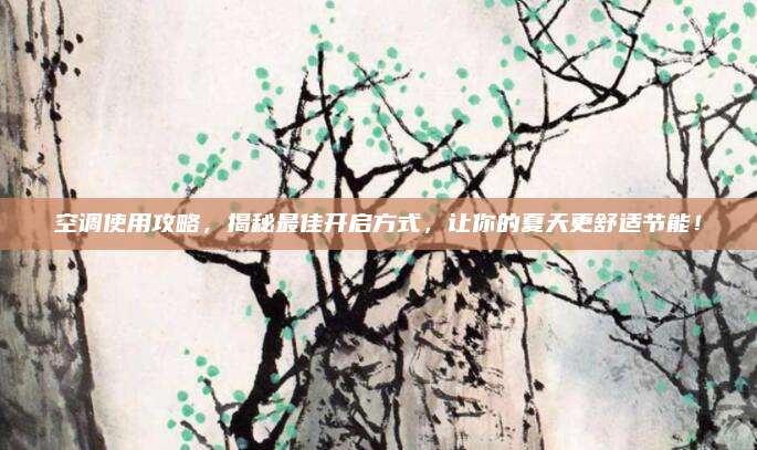 空调使用攻略,揭秘最佳开启方式,让你的夏天更舒适节能!