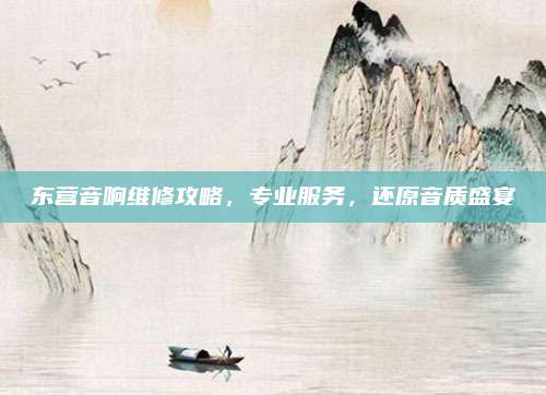 东营音响维修攻略,专业服务,还原音质盛宴