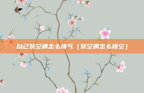 自己装空调怎么排气(装空调怎么排空)
