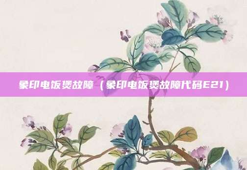 象印电饭煲故障(象印电饭煲故障代码E21)