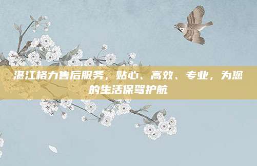 湛江格力售后服务,贴心、高效、专业,为您的生活保驾护航