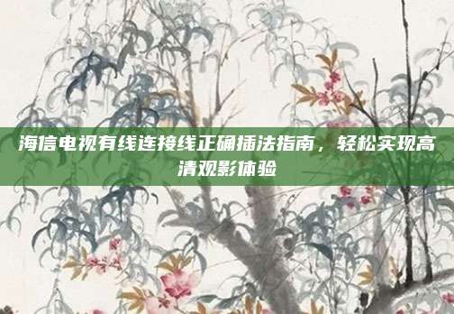 海信电视有线连接线正确插法指南,轻松实现高清观影体验