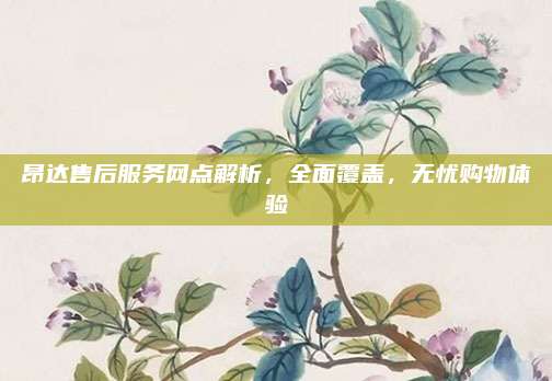 昂达售后服务网点解析,全面覆盖,无忧购物体验