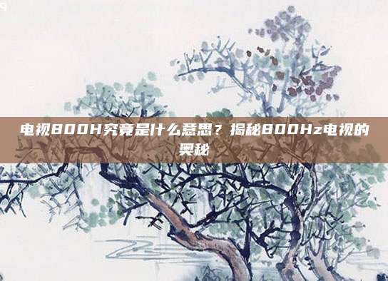 电视800H究竟是什么意思?揭秘800Hz电视的奥秘
