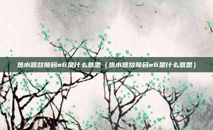 热水器故障码e6是什么意思（热水器故障码e6是什么意思）