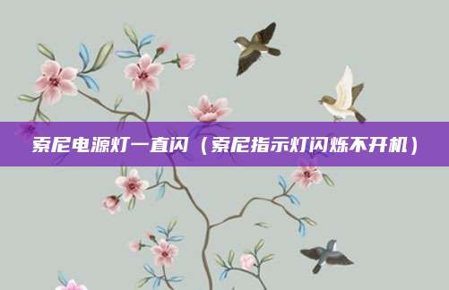 索尼电源灯一直闪（索尼指示灯闪烁不开机）
