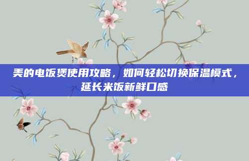 美的电饭煲使用攻略,如何轻松切换保温模式,延长米饭新鲜口感