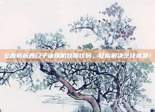 全面解析西门子油烟机故障代码,轻松解决烹饪难题!