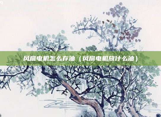 风扇电机怎么存油(风扇电机放什么油)