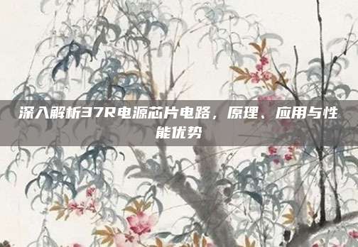 深入解析37R电源芯片电路,原理、应用与性能优势