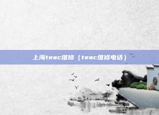 上海teac维修（teac维修电话）