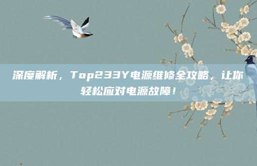 深度解析,Top233Y电源维修全攻略,让你轻松应对电源故障!