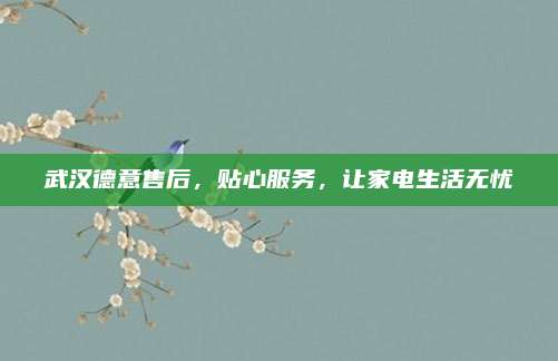 武汉德意售后,贴心服务,让家电生活无忧