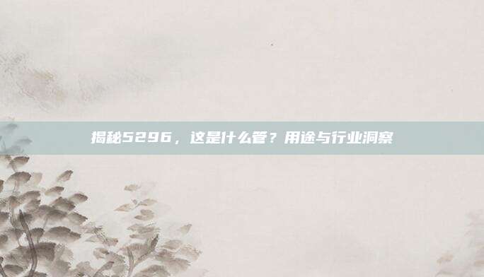 揭秘5296,这是什么管?用途与行业洞察