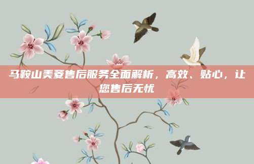 马鞍山美菱售后服务全面解析,高效、贴心,让您售后无忧