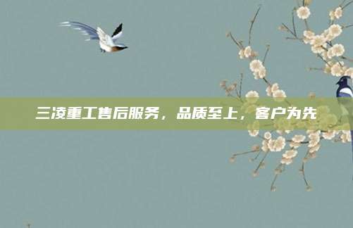 三凌重工售后服务,品质至上,客户为先
