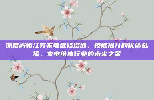深度解析江苏家电维修培训,技能提升的优质选择,家电维修行业的未来之星