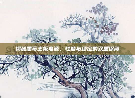 揭秘黑莓主板电源，性能与稳定的双重保障