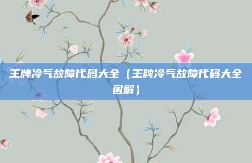 王牌冷气故障代码大全（王牌冷气故障代码大全图解）