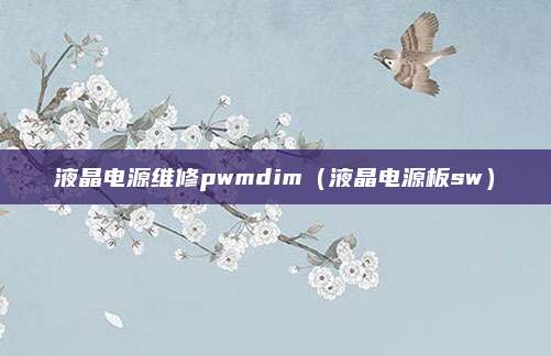 液晶电源维修pwmdim（液晶电源板sw）