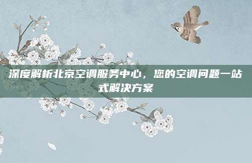 深度解析北京空调服务中心,您的空调问题一站式解决方案