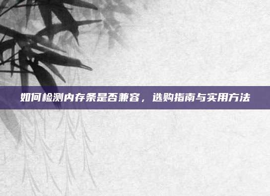 如何检测内存条是否兼容,选购指南与实用方法