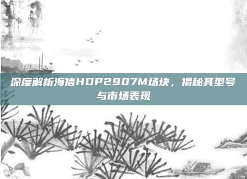 深度解析海信HDP2907M场块，揭秘其型号与市场表现