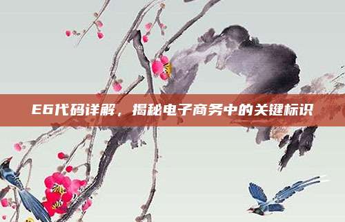 E6代码详解,揭秘电子商务中的关键标识