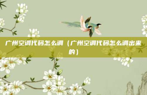 广州空调代码怎么调(广州空调代码怎么调出来的)