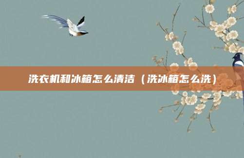 洗衣机和冰箱怎么清洁（洗冰箱怎么洗）