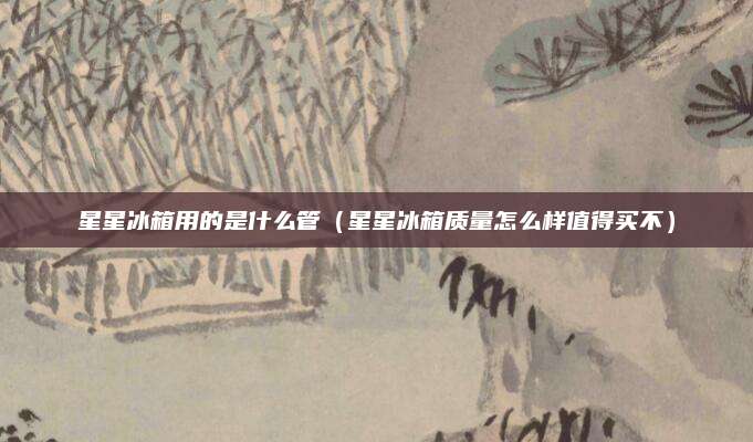 星星冰箱用的是什么管（星星冰箱质量怎么样值得买不）