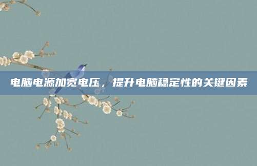 电脑电源加宽电压,提升电脑稳定性的关键因素