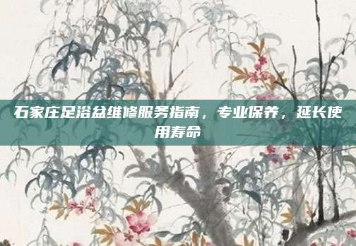 石家庄足浴盆维修服务指南,专业保养,延长使用寿命