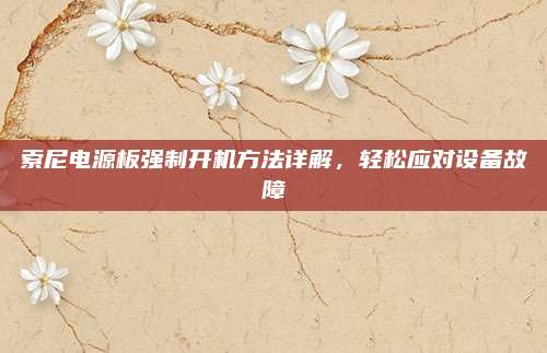 索尼电源板强制开机方法详解,轻松应对设备故障