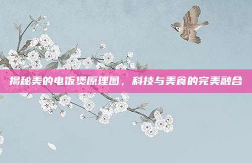 揭秘美的电饭煲原理图,科技与美食的完美融合