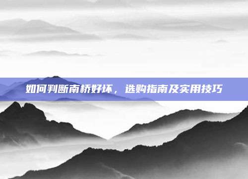 如何判断南桥好坏,选购指南及实用技巧