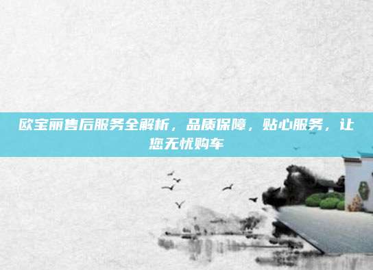 欧宝丽售后服务全解析,品质保障,贴心服务,让您无忧购车