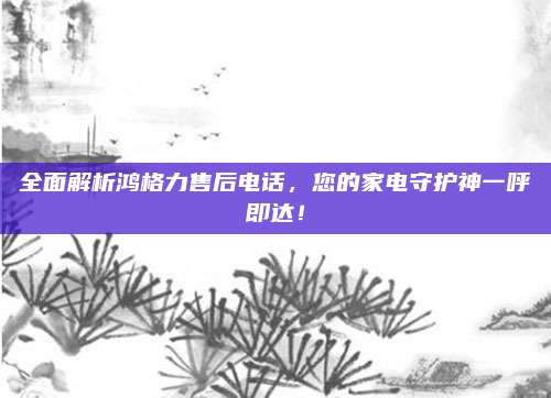 全面解析鸿格力售后电话,您的家电守护神一呼即达!