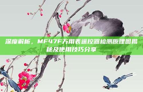 深度解析,MF47F万用表遥控器检测原理图揭秘及使用技巧分享