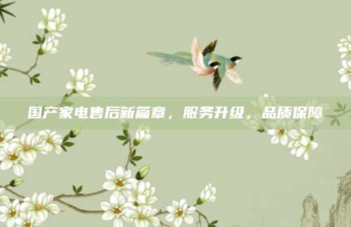 国产家电售后新篇章,服务升级,品质保障