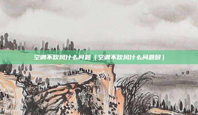 空调不吹风什么问题(空调不吹风什么问题呀)