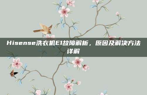 Hisense洗衣机E1故障解析,原因及解决方法详解